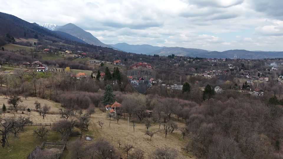 Land 24,253sqm Predelut / Strada Inginer Nicolae Boboc