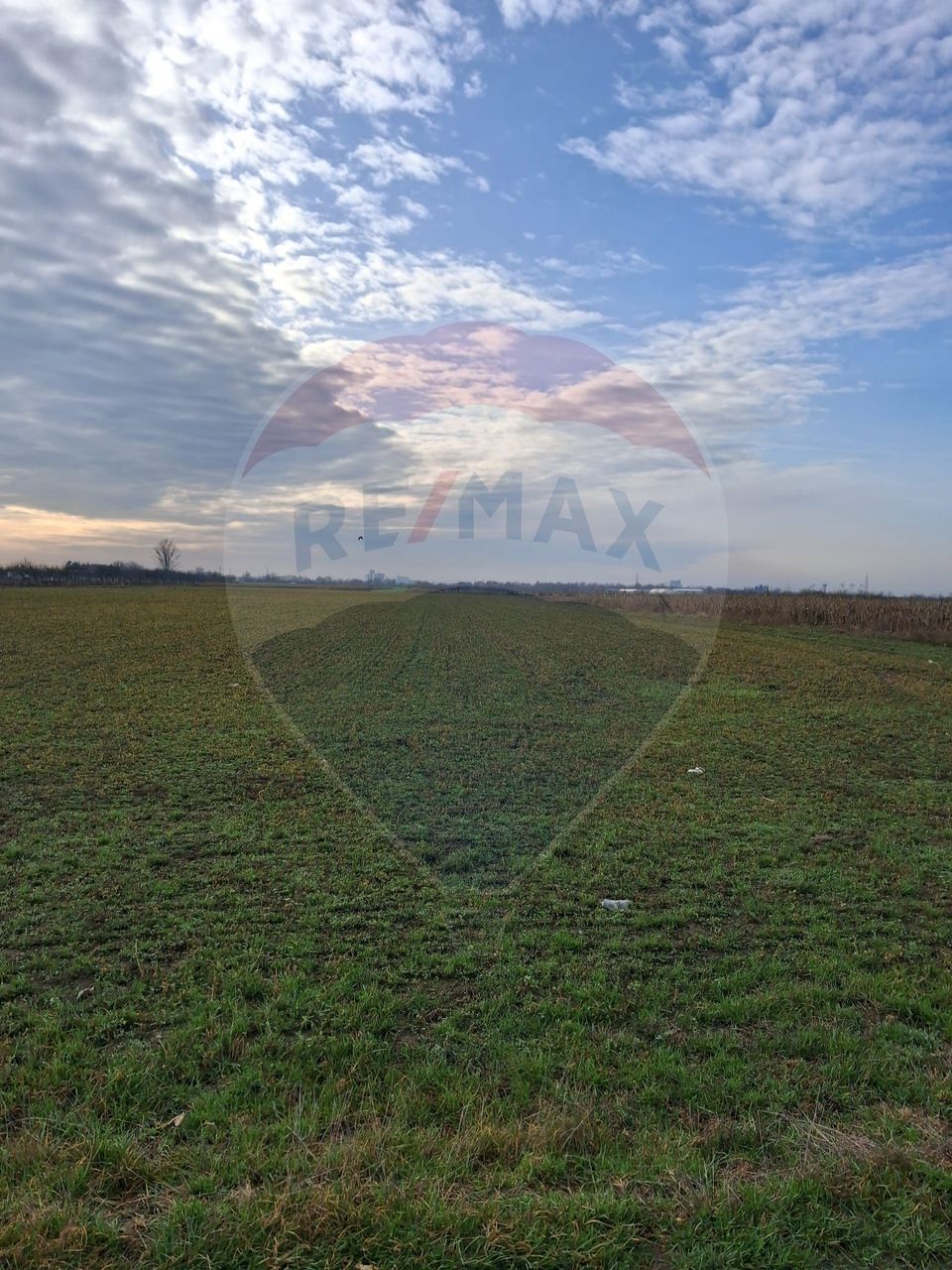 Teren 5,700mp Santion / None