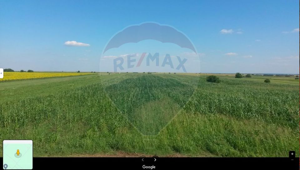 Land 11906 sqm in Berceni, near the lake / Primaverii st