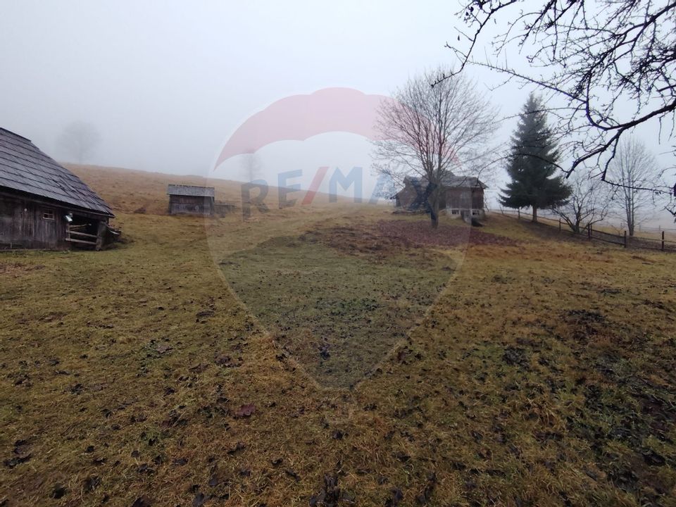 Land 26,238sqm Dorna-Arini / Prelungirea Cozănești