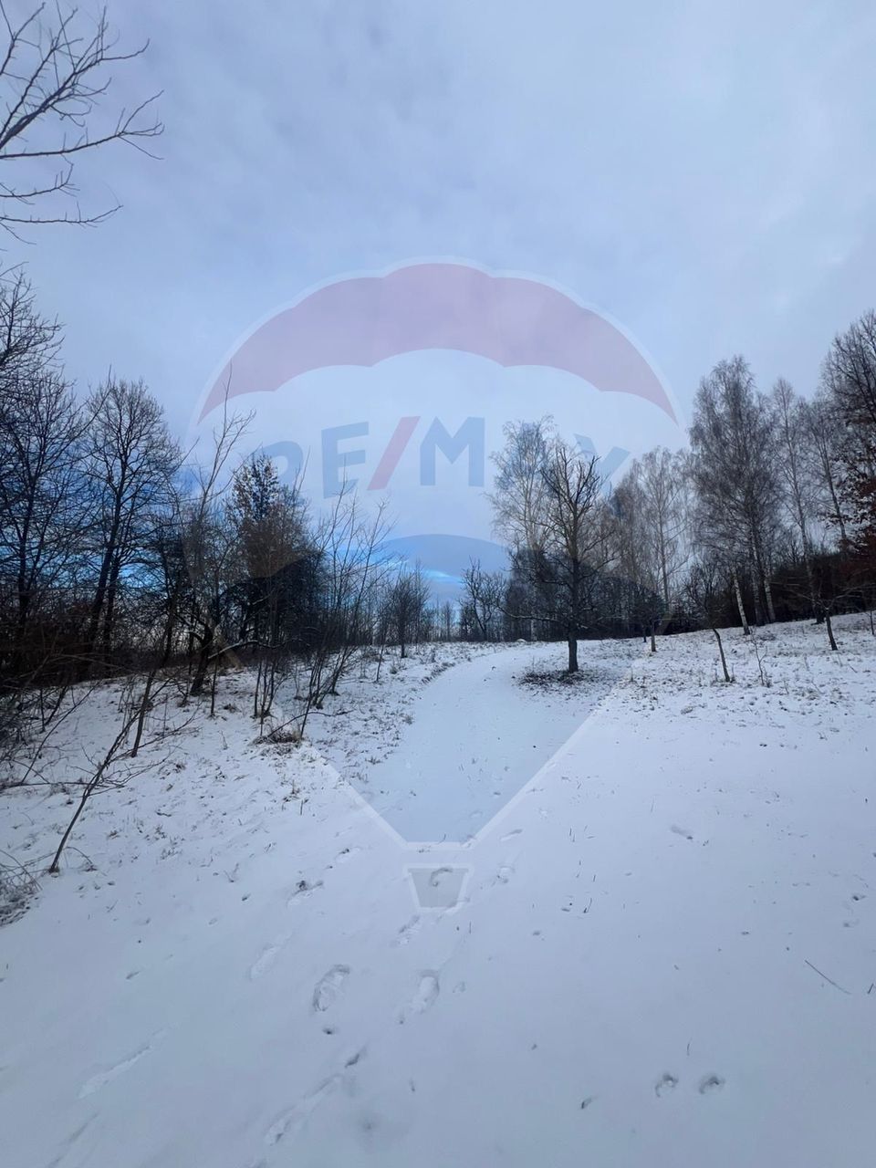 Land 10,054sqm Manastirea / None