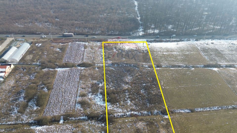 Teren de vânzare industrial Lapusel