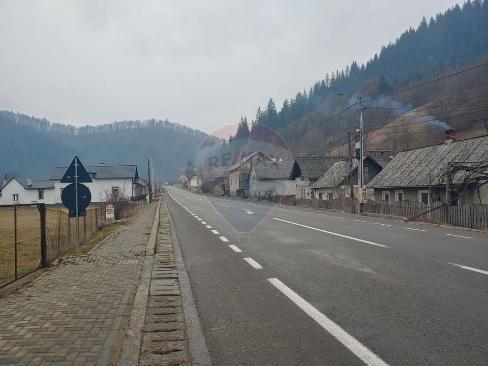 Casă / Vilă in Bucovina-Vama-Prisaca Dornei-Suceava