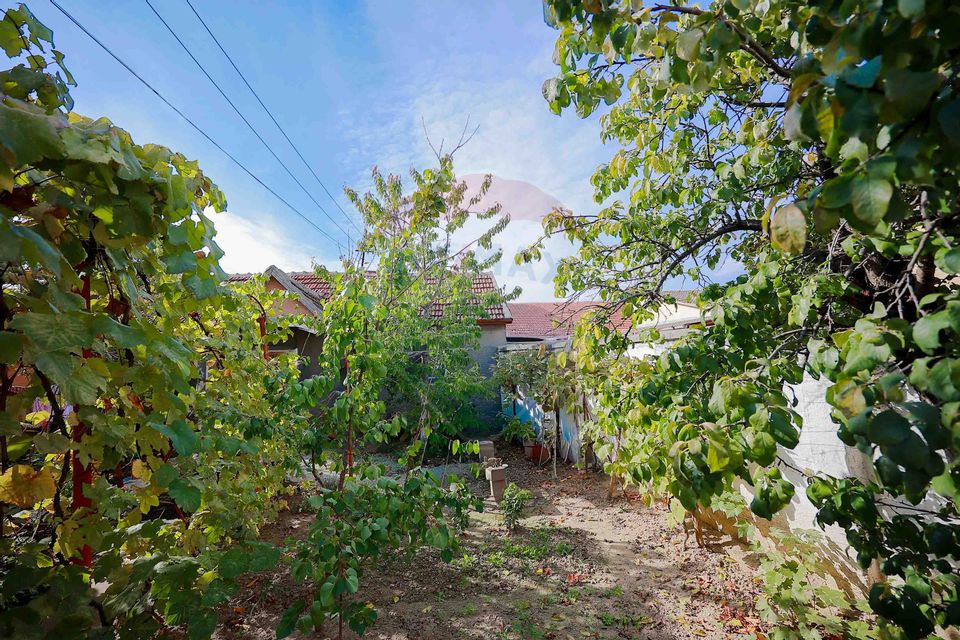 Casă cu 2 camere de vânzare în zona Ioșia Strada Arțarilor