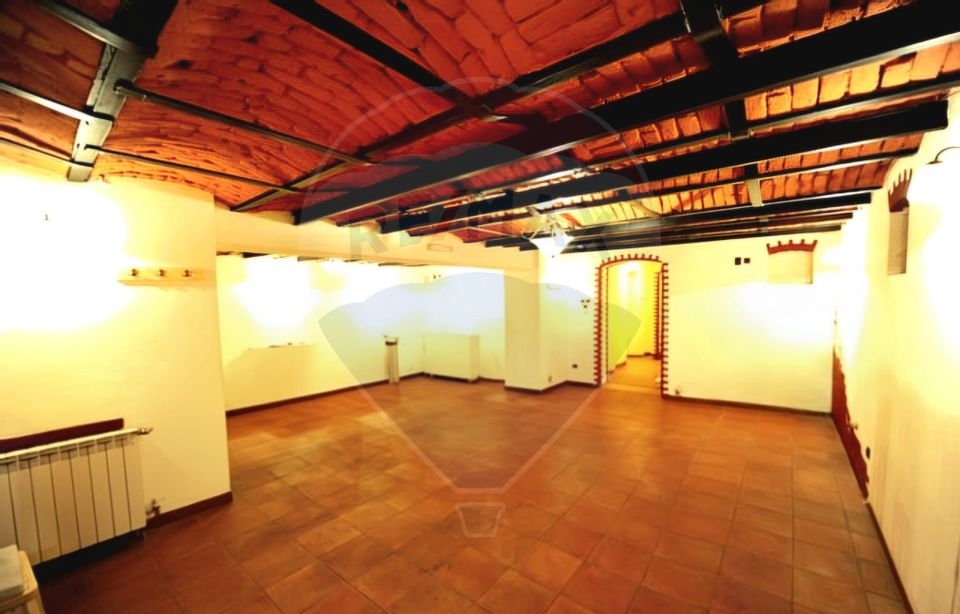 15 room House / Villa for sale, Universitate area