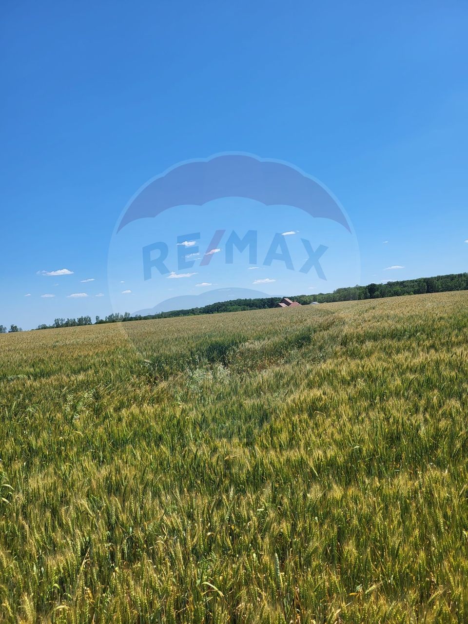 Teren intravilan 30,000mp Corbeanca P+1+E2