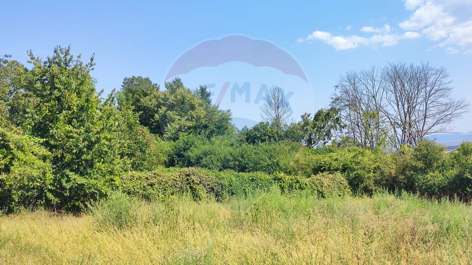 Loc de casa si teren cultivat cu vita de vie 1,28 Ha Santimreu Bihor