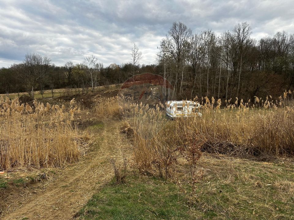 Teren cu panorama superba în Berchezoaia + bonus rulota