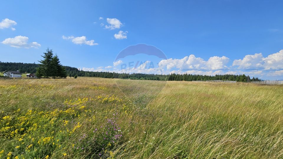 Teren parțial intravilan 30,930 mp Poiana Stampei-DN E58, Suceava