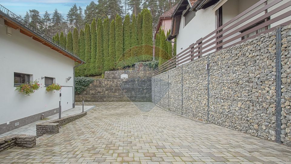 Vila moderna cu vedere spre padure Poiana Angelescu