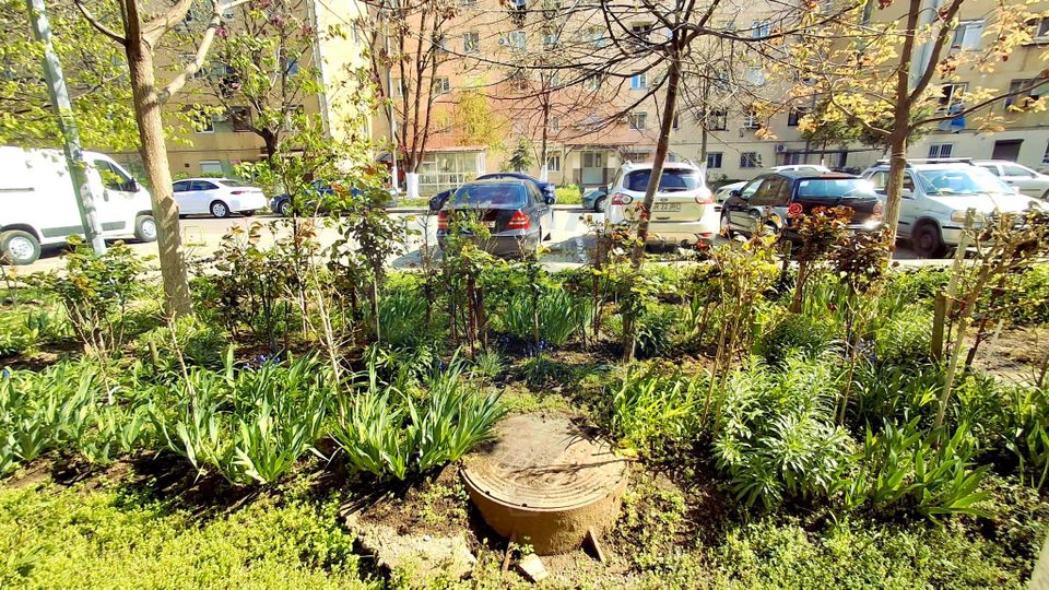 2 room apartment on the ground floor – Fortuna Square, quiet area