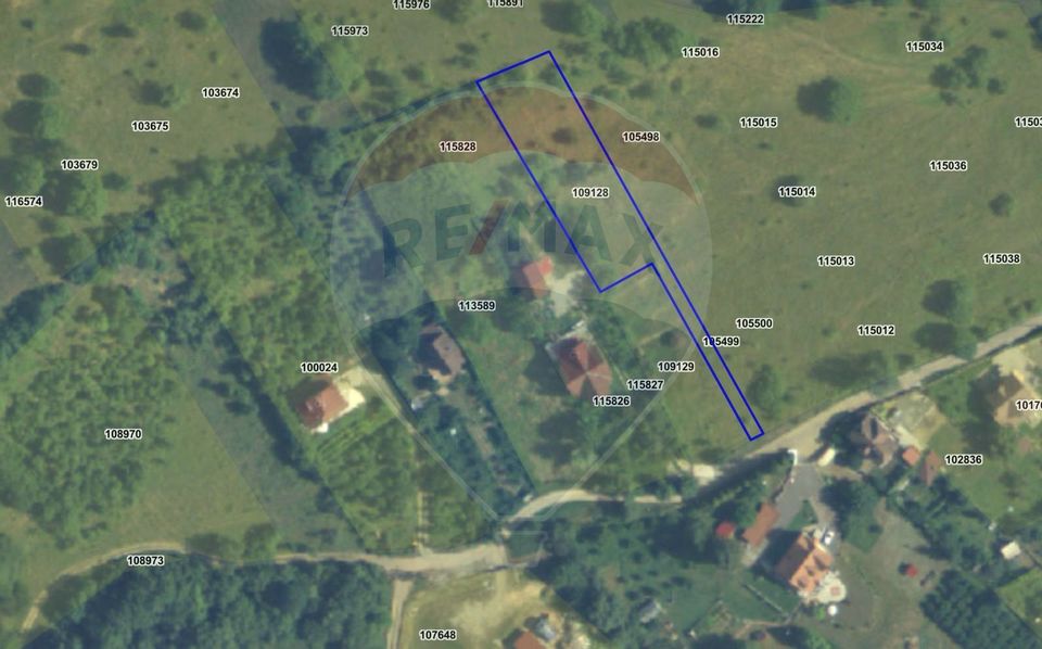 Teren 1,697mp Cisnadioara / Strada Silvicultorilor