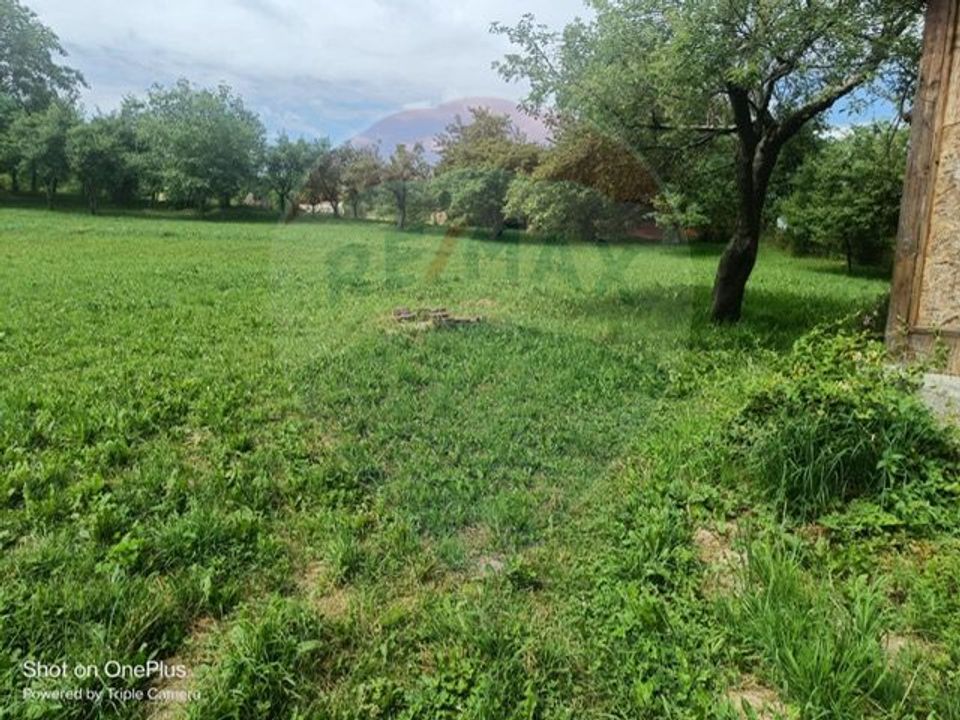 3 room House / Villa for sale