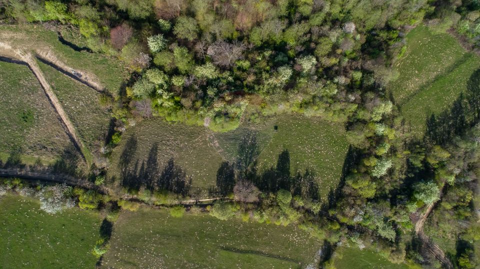 Land 6,800sqm Bran / Strada Tohanita