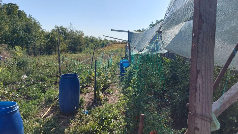 Urban Land for Sale | 4,342 sqm | Săftica – DN1 | Balotești