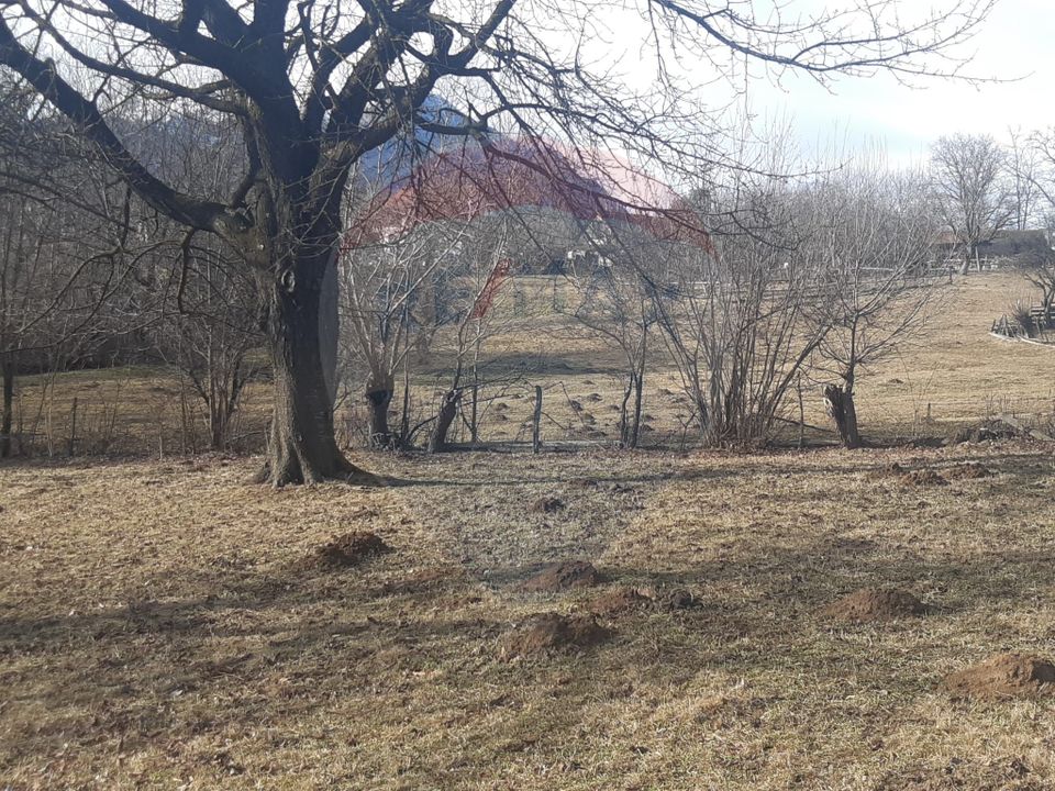 Land 10,279sqm Predelut / Strada Pe Tarina