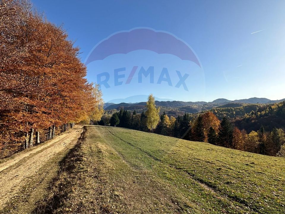 Investment opportunity ! Dream land in Pestera - 125,370 sqm