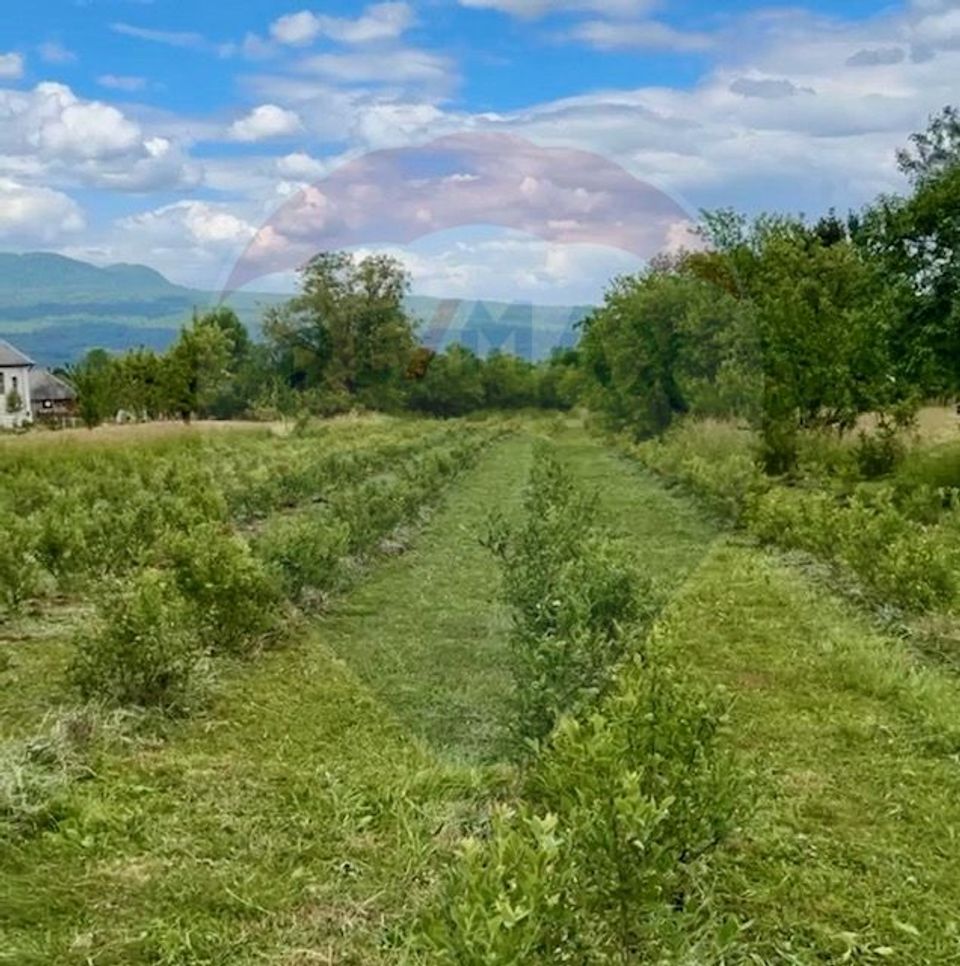 Teren 6,900mp Breb / Strada PRINCIPALA