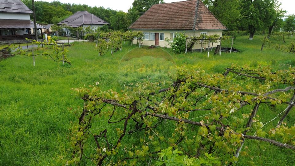 3 room House / Villa for sale