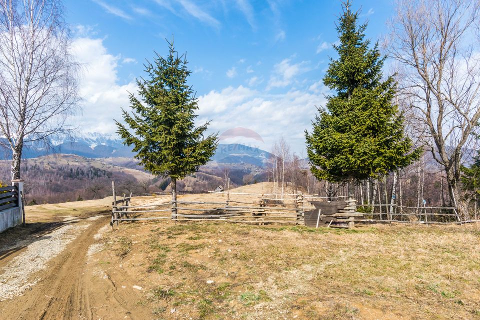 Comision 0%! Teren Moieciu de Jos 1500 mp