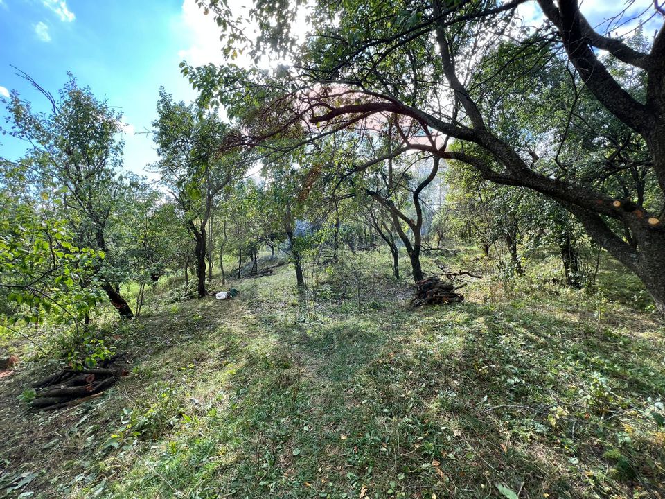 Land plot for sale Prahova -Secaria-Baiului Mountains