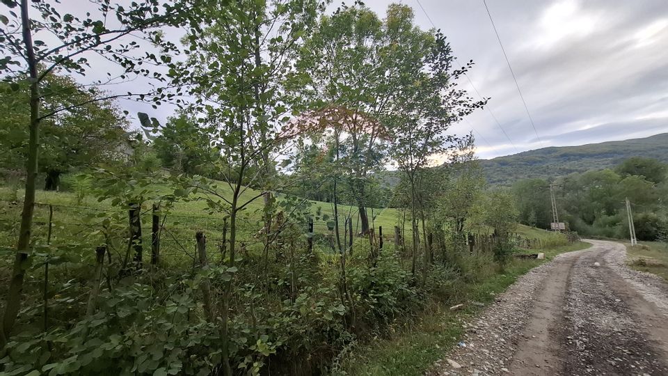 Teren cu priveliste spectaculoasa, 4000mp, la 18km de Sinaia