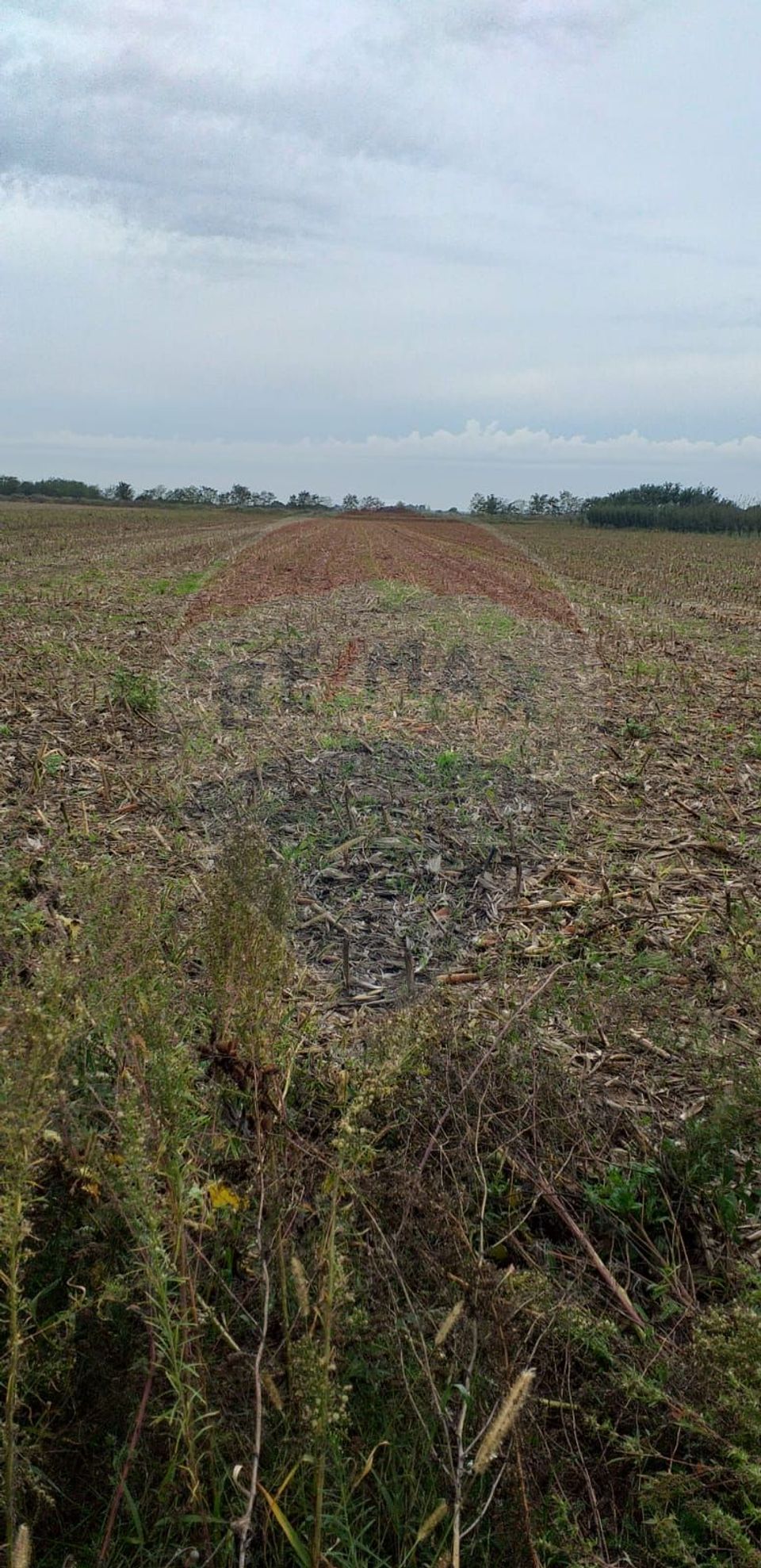 Teren extravilan 3000mp de vânzare la Sântion