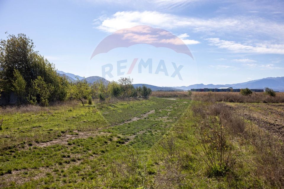 Land 6,400sqm Brasov / Strada Lanii