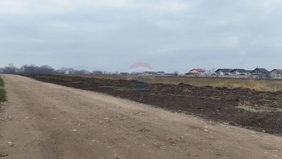 Land 947sqm Sanpetru / Drumul drumul cu plopi