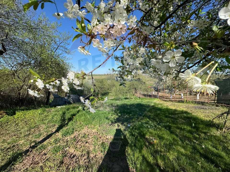 2 room House / Villa for sale