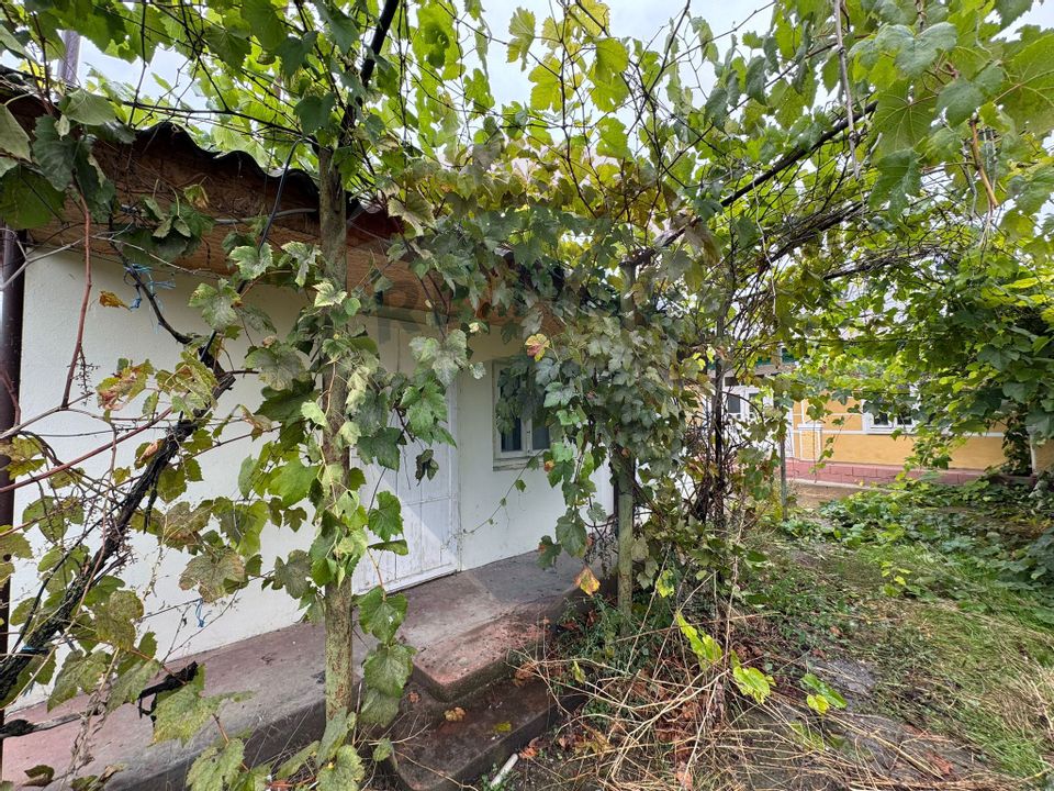Casă / Vilă cu 3 camere în Răchitosu