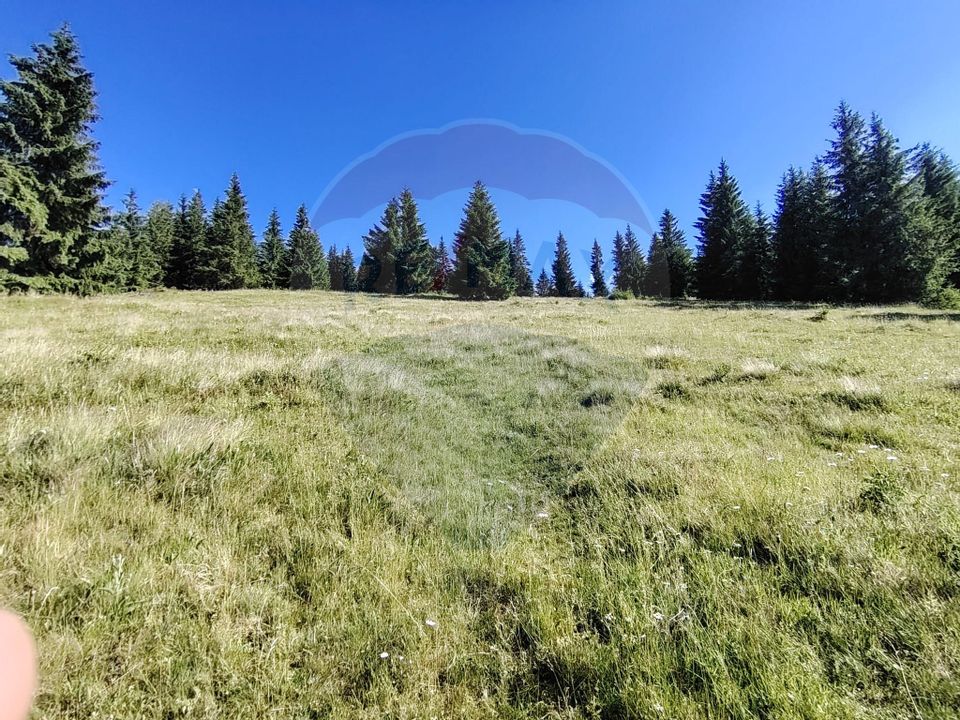 Teren 47,732mp Panaci / Strada MIhailet