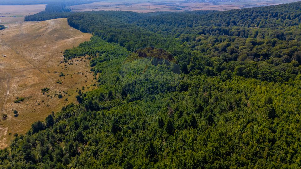 Land 6,000sqm Crizbav / Strada principala