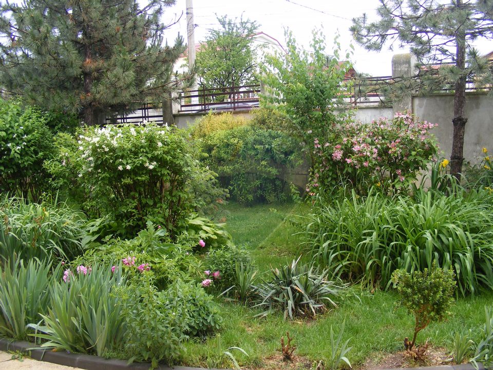 7 room House / Villa for sale