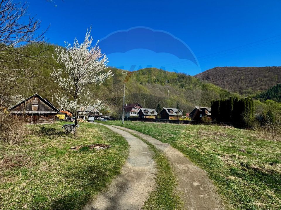 Teren Tarnița / Lăpușești