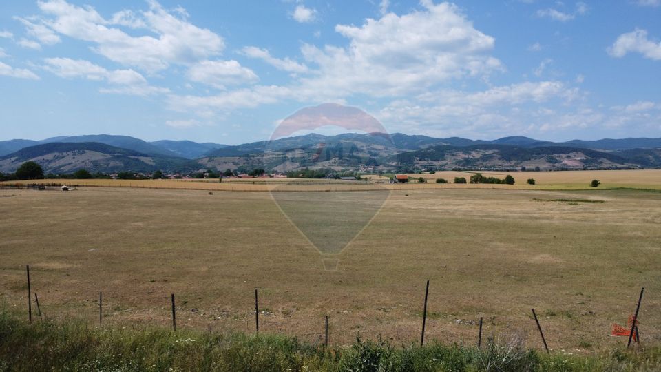 Teren industrial 10.000 mp Vințu de Jos investitie