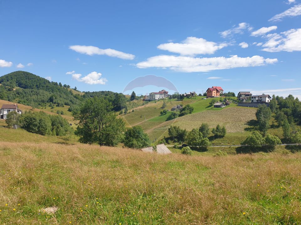 Teren intravilan, 12704 mp, Sat Ciocanu (com Dâmbovicioara)