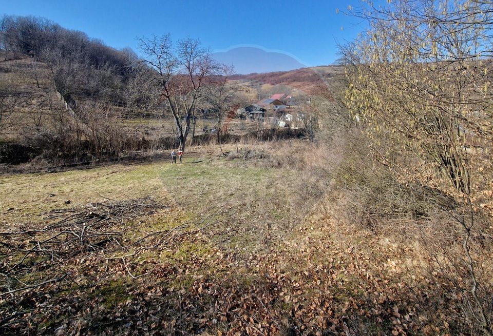 Land 4,985sqm Sascut / None
