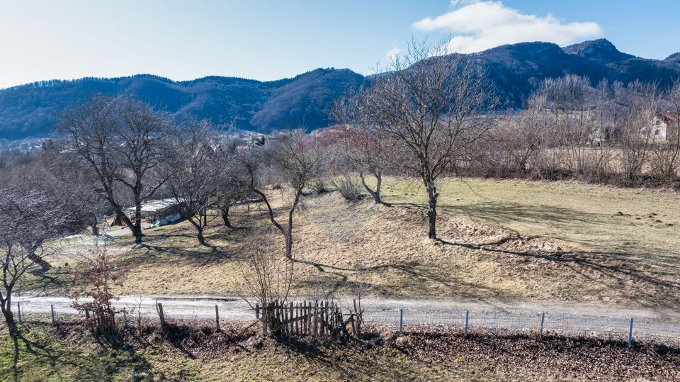 Land 1,260sqm Predelut / Strada Pe Tarina