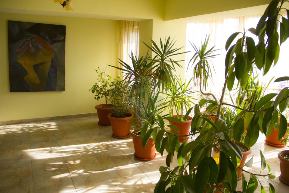 Hotel de vanzare la cateva minute de Podul Mogosoaia –Cu 40 de camere