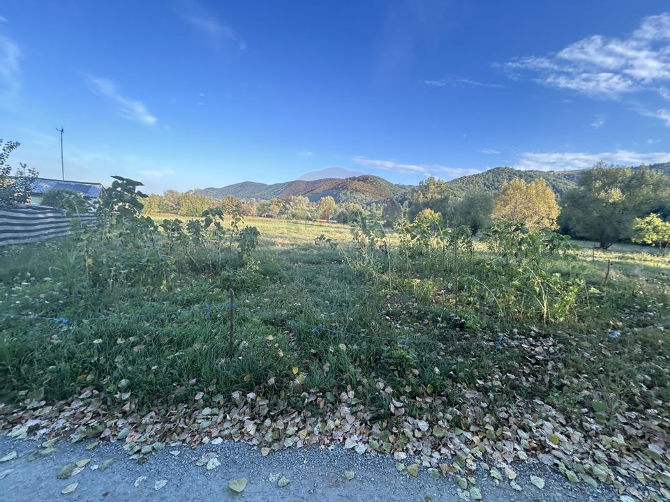 Land 2,700sqm Copalnic / Strada principala