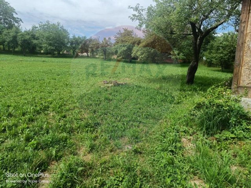 3 room House / Villa for sale