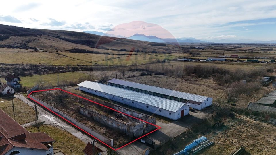 Teren intravilan 1.729 mp + hală parțial demolată | Teliu I Comision 0