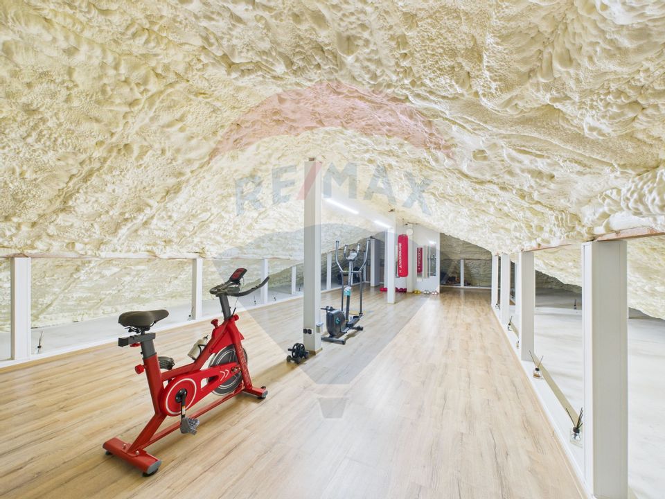 Casa superba de vanzare in Domnesti/Ciorogarla