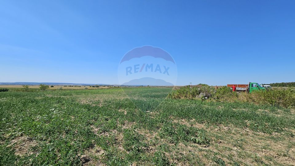 Land 52,115sqm Hutani / DJ DJ291