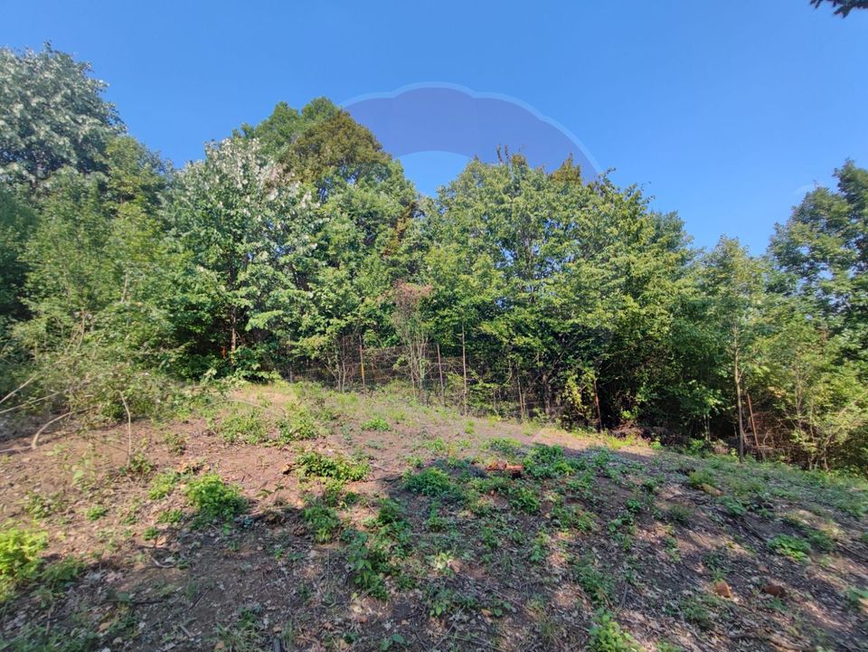 Teren intravilan 756mp si cota parte de drum Baia Mare / Str. Viilor