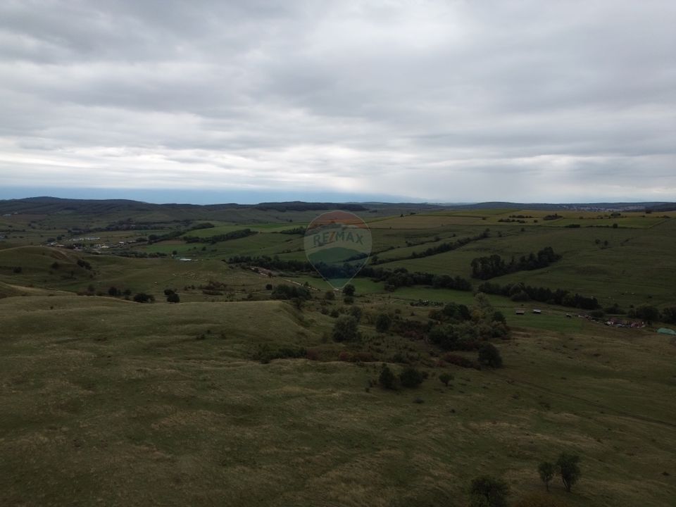 Teren de vanzare, 65 hectare - Agnita