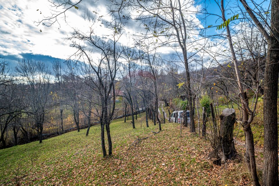 Teren intravilan 4384 mp – Comuna Talea,  județul Prahova