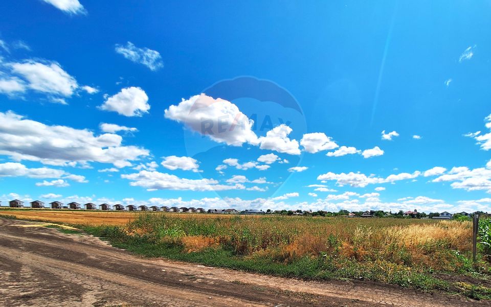 Teren Focsanei / DN sat Focsanei Vadu Pasii