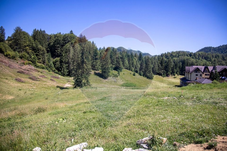 Teren intravilan, 6000mp Dambovicioara / DN 73- dealul sasului!